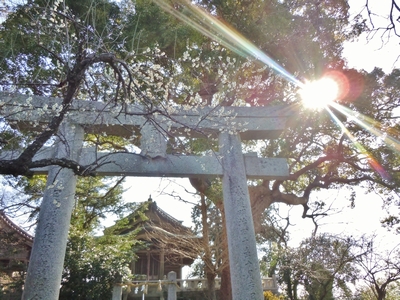 天満宮.jpg