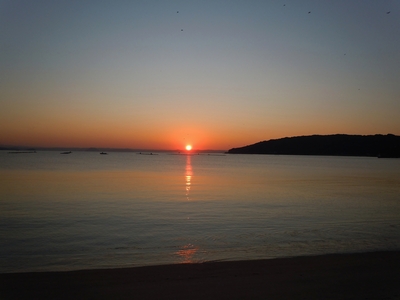 ２０１１年1116－3.jpg
