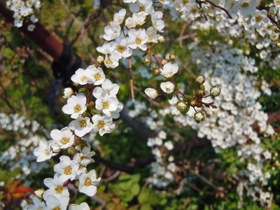 4月.jpg