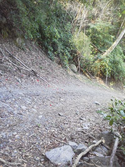 DCIM0067.JPG
