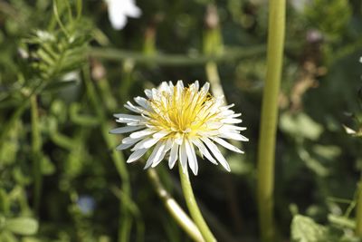 DP3M1706abr.jpg