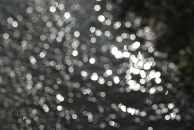 DP3M1724abr.jpg