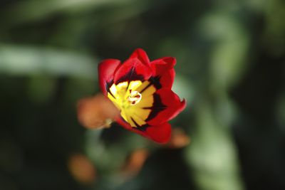 DP3M1795abr.jpg