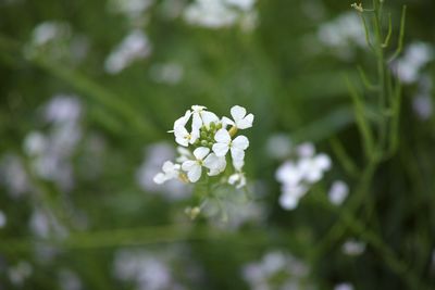 DP3M2012a.jpgb.jpg