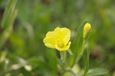 DP3M2036a.jpgb.jpg