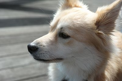 DP3M2117a.jpgb.jpg