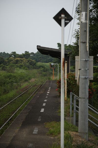 DP3M3539b.jpg
