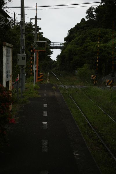 DP3M3574b.jpg