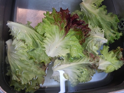 DSCN0659.JPG