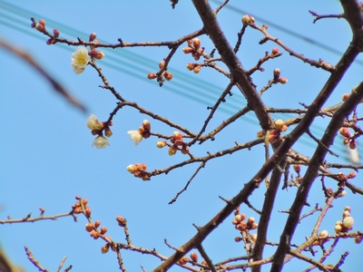 DSCN0678.JPG