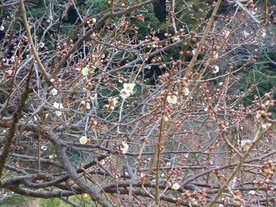 DSCN0718.JPG