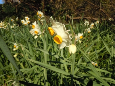 DSCN0743.JPG