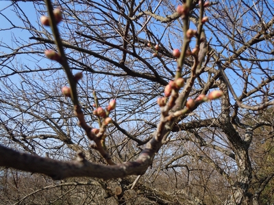 DSCN0745.JPG