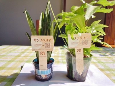 DSCN0819.JPG