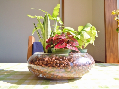 DSCN0822.JPG