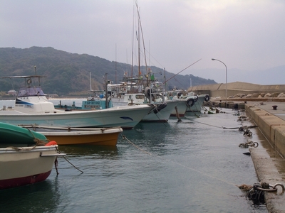 DSCN0851.JPG