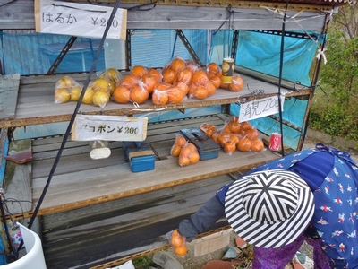 DSCN0863.JPG