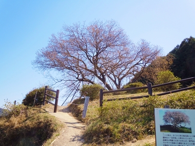 DSCN0895.JPG