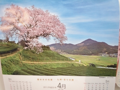 DSCN0896.JPG