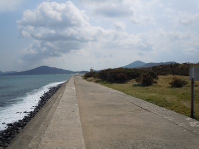 DSCN0934.JPG