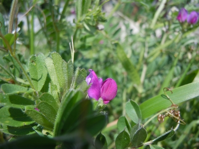 DSCN0941.JPG