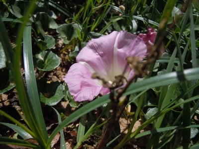 DSCN0994.JPG