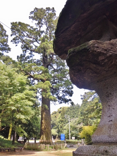 DSCN1009.JPG