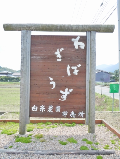 DSCN1018.JPG