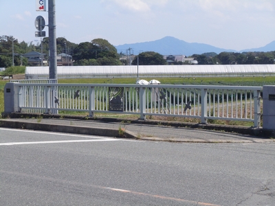 DSCN1170.JPG