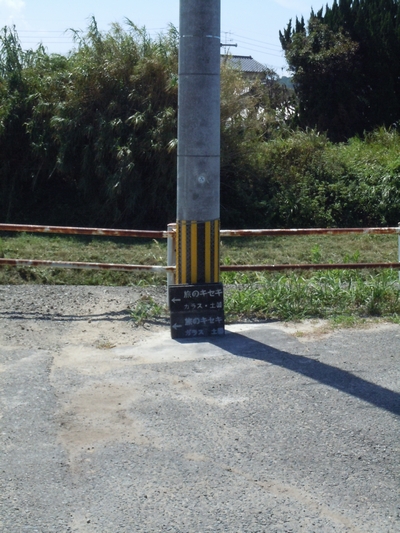 DSCN1180.JPG