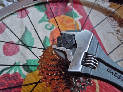 DSCN1318.JPG