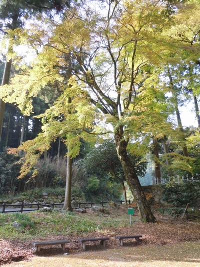 DSCN1389.JPG