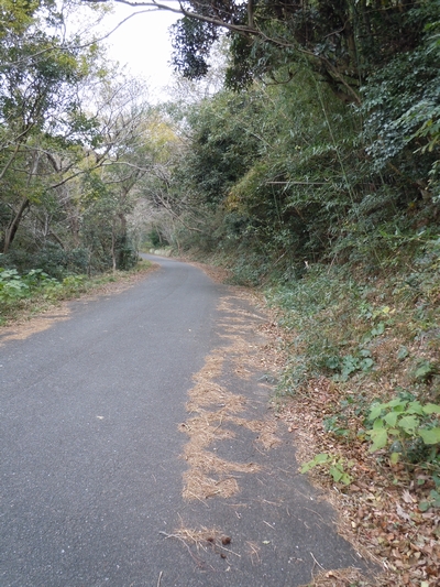 DSCN1473.JPG