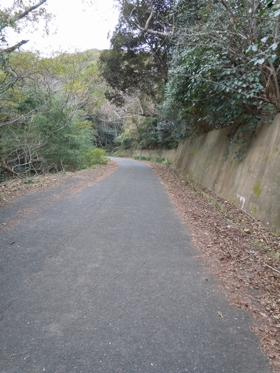 DSCN1474.JPG