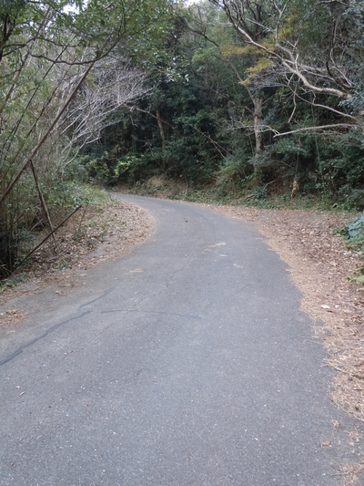 DSCN1475.JPG