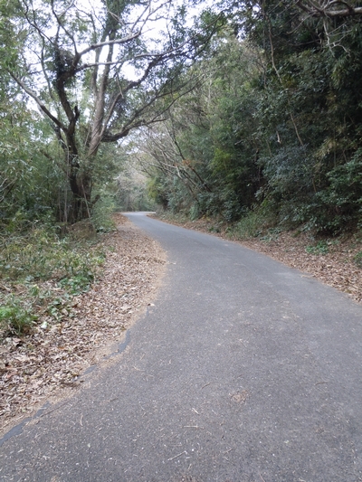 DSCN1476.JPG