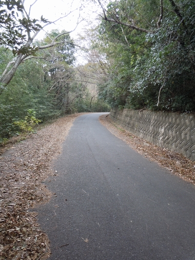 DSCN1477.JPG