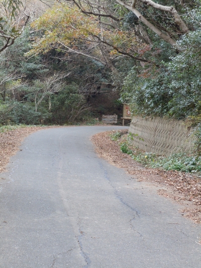 DSCN1478.JPG