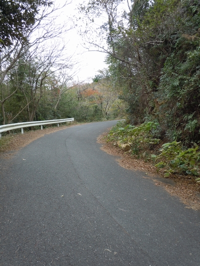 DSCN1481.JPG