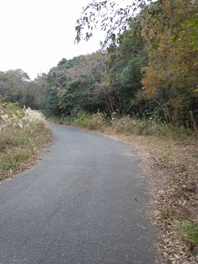 DSCN1484.JPG