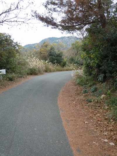 DSCN1485.JPG