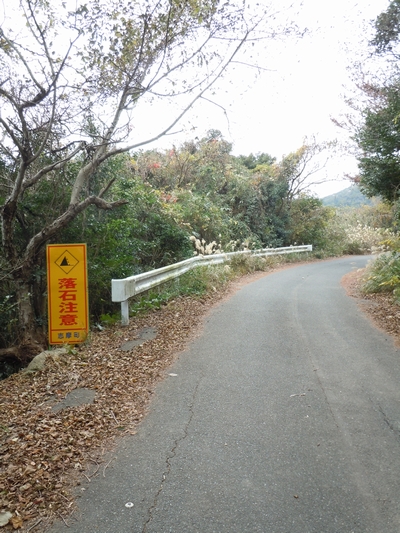 DSCN1486.JPG