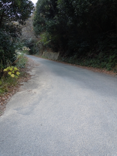 DSCN1487.JPG