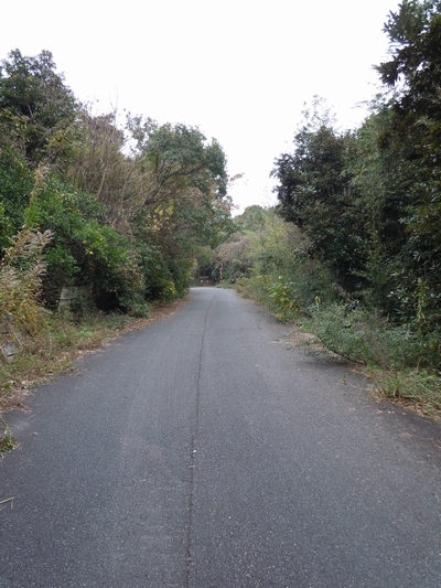 DSCN1489.JPG