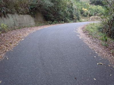 DSCN1490.JPG
