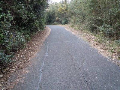 DSCN1491.JPG