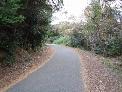 DSCN1494.JPG