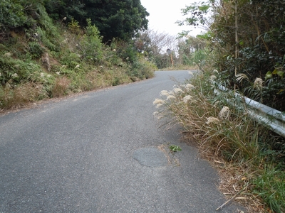 DSCN1497.JPG