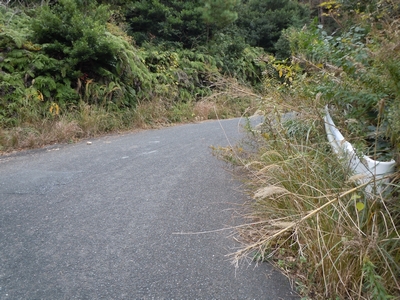 DSCN1498.JPG