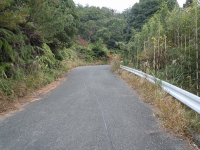 DSCN1499.JPG